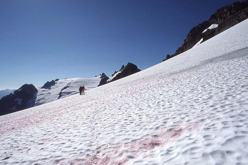 Ptarmigan Trav 034 Aug-1986 Le Conte Glacier.jpg